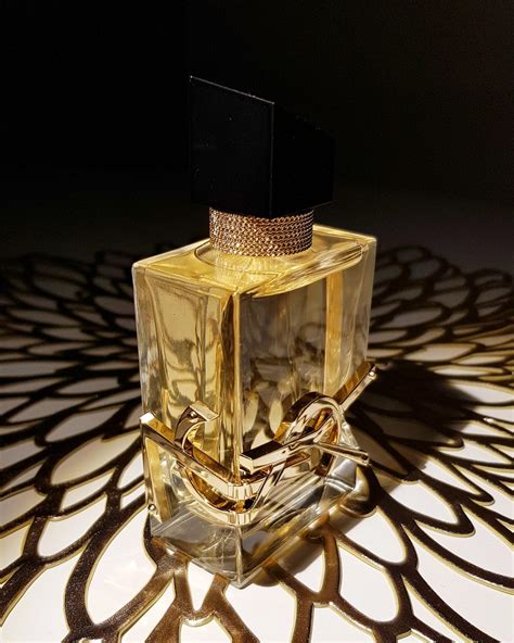 ysl perfume model|ysl perfume women dossier.